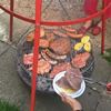 Grillen 100
