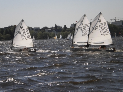 optimale_2011_1