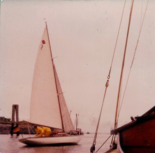 greune_see-1